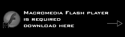 download flash player